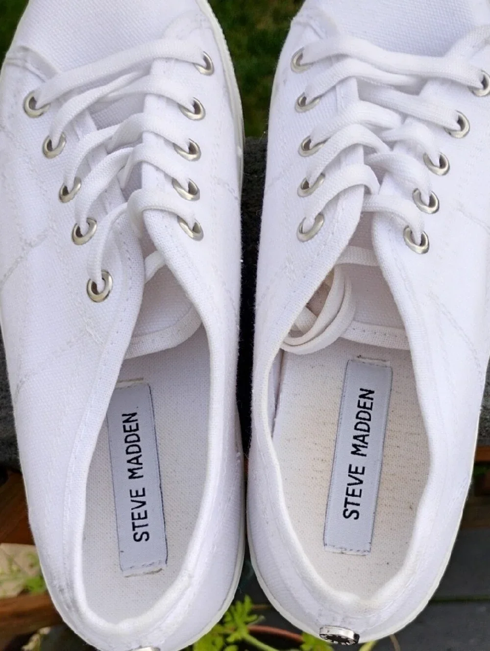 Steve Madden classic white